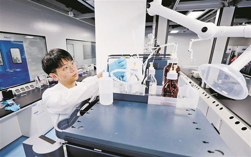 廈門布局建設首批聯(lián)合實驗室 重點推動新興產業(yè)和未來產業(yè)領域布局建設