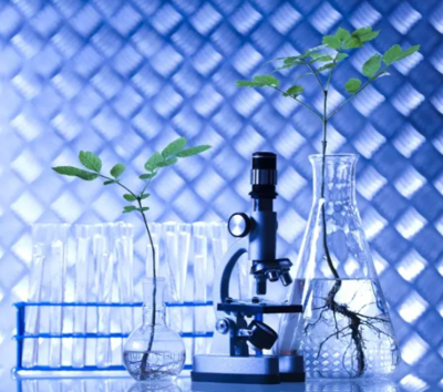 三農(nóng)日報(bào)|政策:鼓勵資本助推生態(tài)循環(huán)農(nóng)業(yè);農(nóng)村新電商模式正成為趨勢