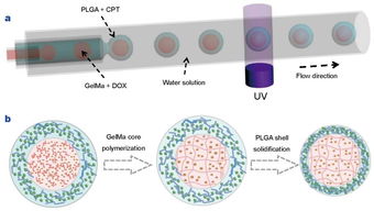 生物材料的多樣性和dds設計 藥物傳遞系統 ?？瘓D文詳解