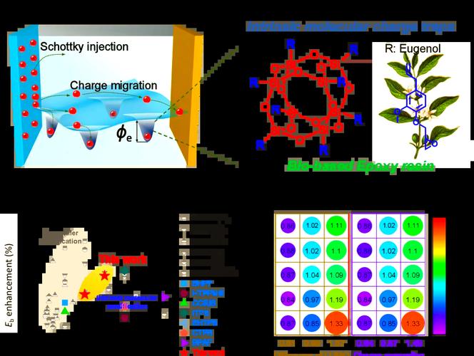 中科院寧波材料所劉小青團(tuán)隊研發(fā)環(huán)保型電工環(huán)氧樹脂