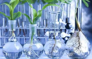 無處不在的化學(xué) 生物基材料技術(shù)研發(fā)的機遇與挑戰(zhàn)