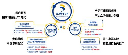 拒糖主義興起 氣泡水與玻尿酸聯(lián)手，生物基材料技術研發(fā)迎勢而上