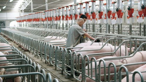 數(shù)字經濟與生物基材料創(chuàng)新 2024年上半年經濟實力躍升的雙引擎