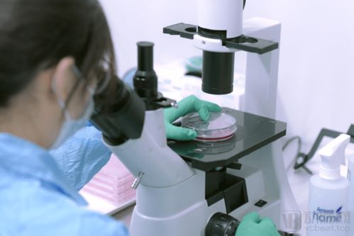 打造產業(yè)鏈 惠邦生物以獨創(chuàng)能力加碼IVD創(chuàng)新產品研發(fā)，持續(xù)發(fā)力原料市場與生物基材料技術研發(fā)