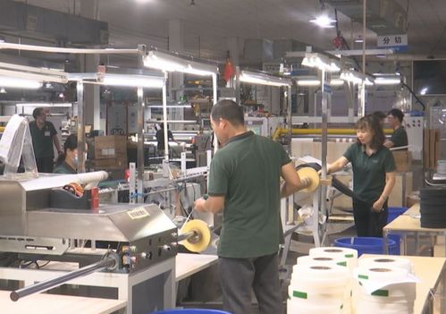 創新驅動，綠色先行——記廣東盈通新材料研發中心榮膺“全國工人先鋒號”稱號